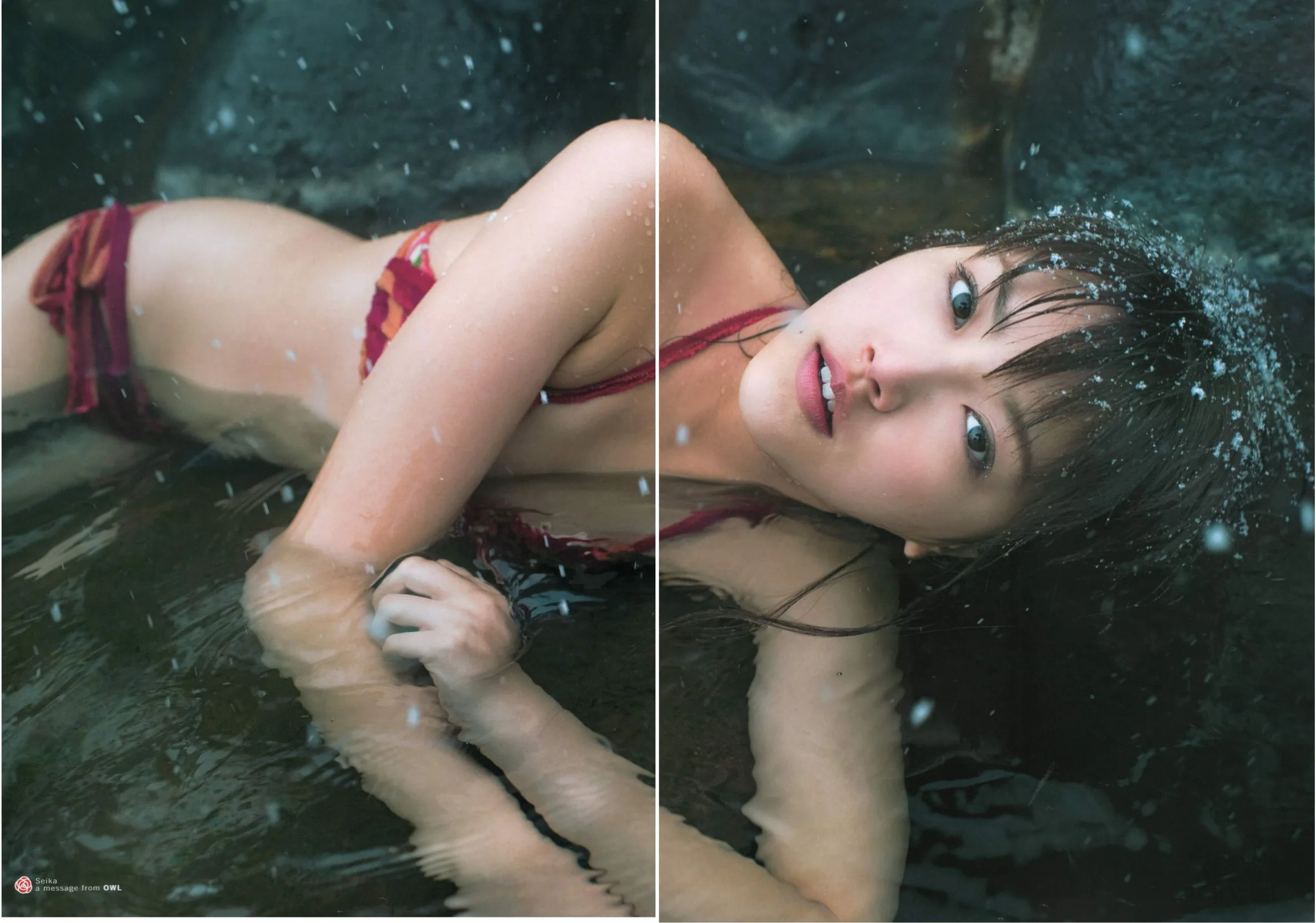 Seika Taketomi《Một thông điệp từOWL》Album ảnh - 111