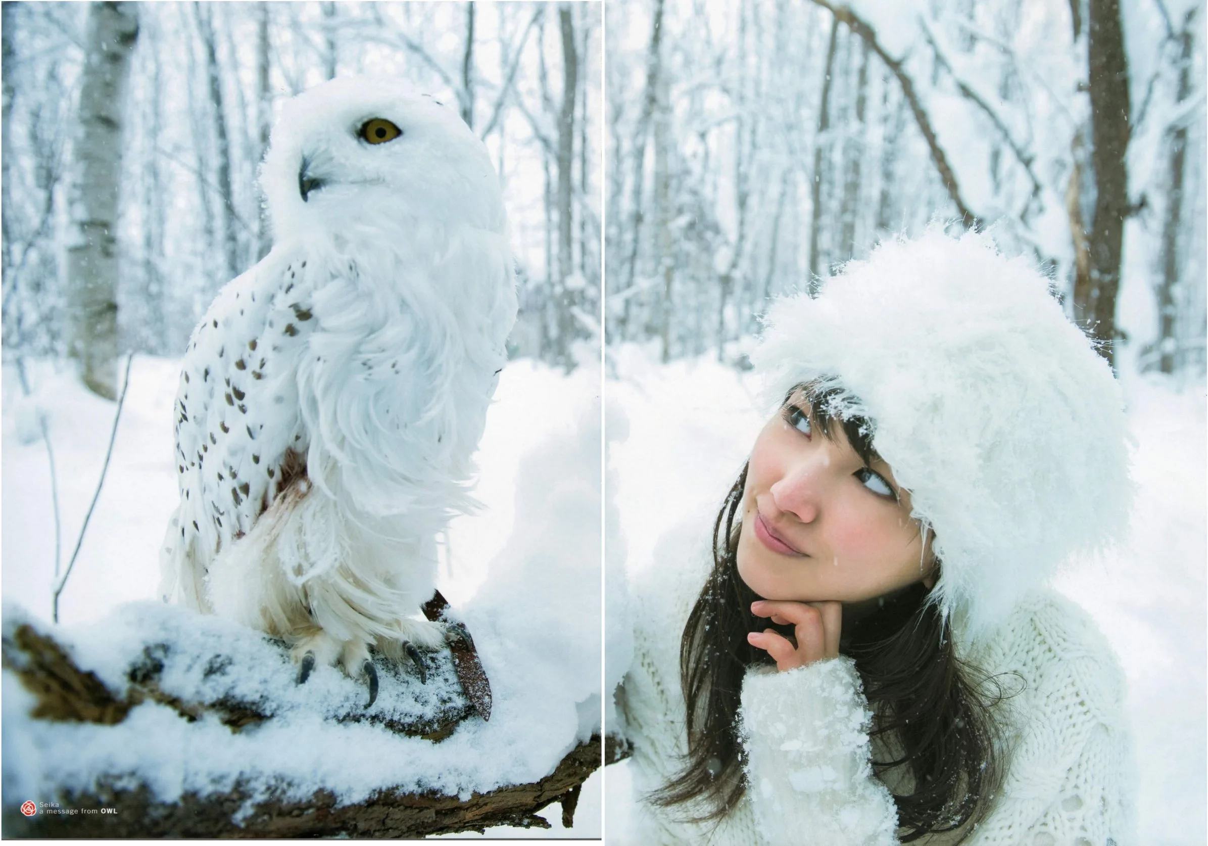 Seika Taketomi《Một thông điệp từOWL》Album ảnh - 97