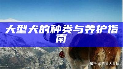 大型犬的种类与养护指南