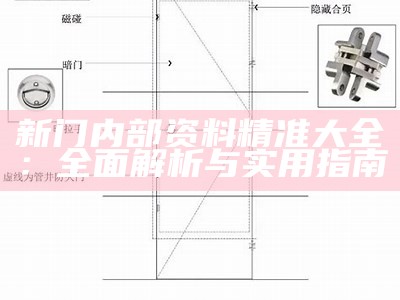 新门内部资料精准大全：全面解析与实用指南