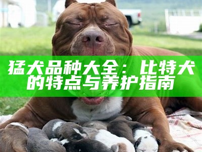 猛犬品种大全：比特犬的特点与养护指南