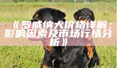 《罗威纳犬价格详解：影响因素及市场行情分析》