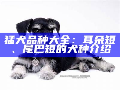 猛犬品种大全：耳朵短、尾巴短的犬种介绍