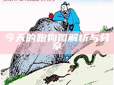 《今日官方跑狗图解析与分享》