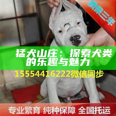 犇犇猛犬山庄：探索犬类的乐趣与魅力