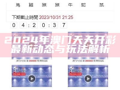 2024今晚新澳门开奖结果最新动态与分析