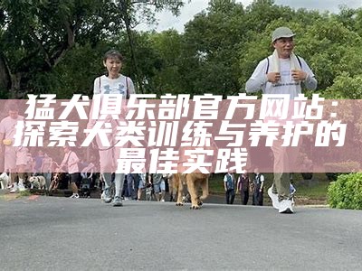 猛犬俱乐部官方网站：探索犬类训练与养护的最佳实践